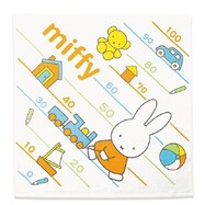miffy　ミッフィーいっしょにあそぼう　湯上げタオル