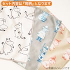 MOOMIN ムーミン マイクロファイバーふきん (スナフキン) 4枚目画像