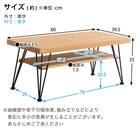 ヴィンテージセンターテーブル (NA) 13枚目画像