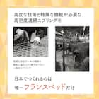 セミシングル フランスベッド マットレスTW100 7枚目画像