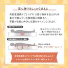 セミシングル フランスベッド マットレスTW100 8枚目画像