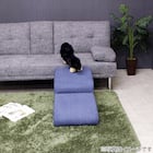 引っかきキズに強いドッグステップ2段 (ブルー) 5枚目画像
