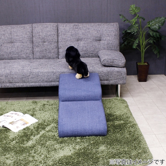 引っかきキズに強いドッグステップ2段 (ブルー) 5枚目画像