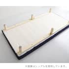 高反発ウレタン脚付きマットレス セミシングル(NV) 14枚目画像