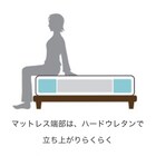 ファインレボマットレスR1ソフト(シングル) 3枚目画像