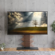 最大100インチ対応 デザインテレビスタンド(DHWAT)