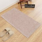 フロアマット(ラメシャギーRO 50X80) 1枚目画像