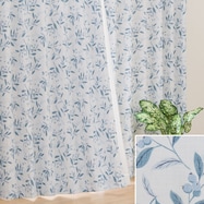 遮光ドレープカーテン(BL DH81)