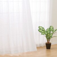 【デコホーム商品】遮熱・遮像レースカーテン（100X108X2 DH64）