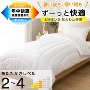 【デコホーム商品】温度調整　掛け布団（セルプラスE1）