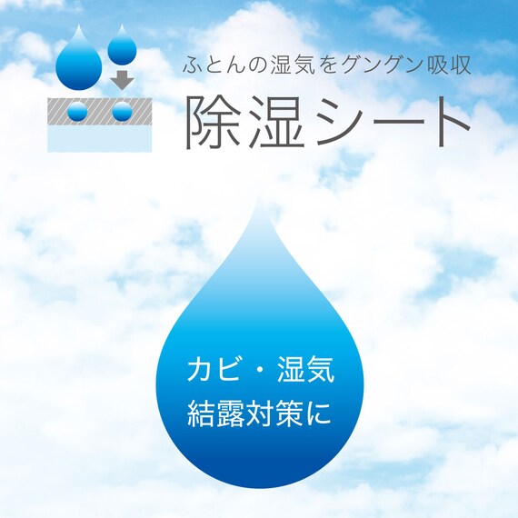 洗える珪藻土入り除湿シート　ダブル(T2 BL D) 2枚目画像