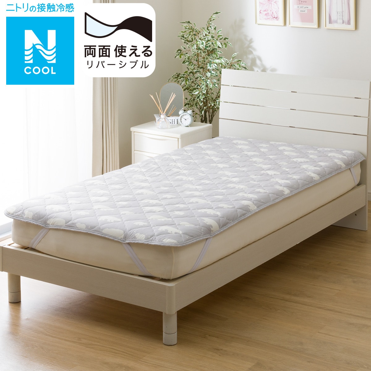 【デコホーム商品】敷きパッド シングル(Nクール S2404 ベア S) ニトリ