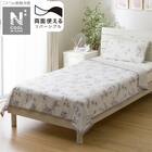 ひんやりケット シングル(NクールWSP S2413 ラインアート) 1枚目画像