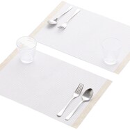【デコホーム商品】PVCランチョンマット(GV 2PCS ZW01)