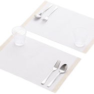 PVCランチョンマット 2枚セット(2PCS ZW01)