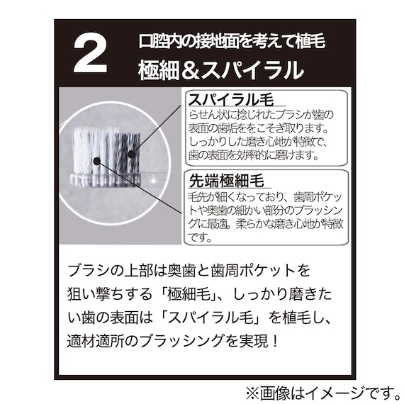 歯ブラシ(カラッポ ネコチャン OM22) 7枚目画像