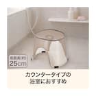 風呂イス(H25 BR AN23) 2枚目画像