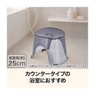 風呂イス(H25 PUGY AN23) 2枚目画像