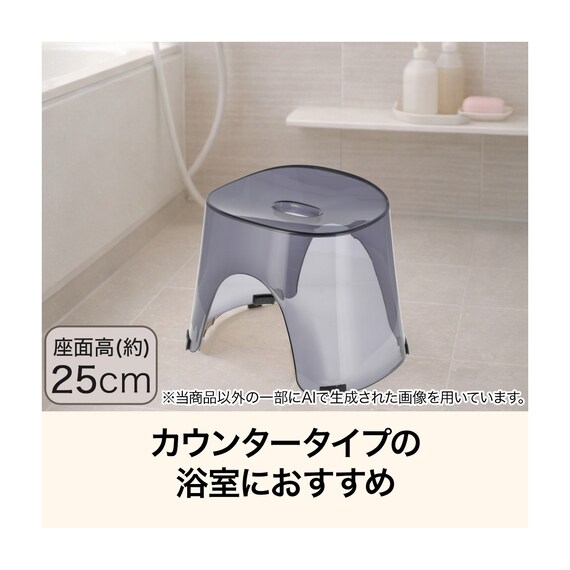 風呂イス(H25 PUGY AN23) 2枚目画像