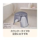 風呂イス(H25 PUGY AN23) 2枚目画像