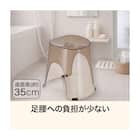 風呂イス(H35 BR AN23) 2枚目画像