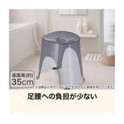 風呂イス(H35 PUGY AN23) 2枚目画像