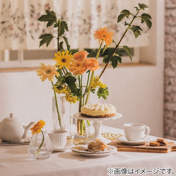 スライダー画像