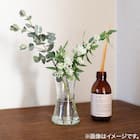 WECK DELIKATESSEN(100ml) 5枚目画像