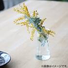 WECK DELIKATESSEN(100ml) 7枚目画像