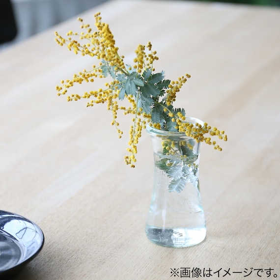 WECK DELIKATESSEN(100ml) 7枚目画像