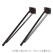 ワイヤー脚2本入り(プレフェ)
