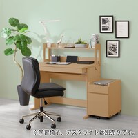 ライトなしスタンダードデスク(DK24 LBR)