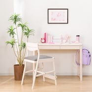 デスク (メルシーTK PS P)