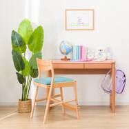 デスク(メルシー DT LBR PSE P)