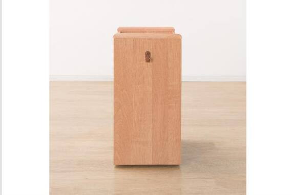 スリムワゴン メルシーTL LBR P 2枚目画像