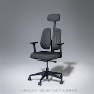 オフィスチェア (デュオレハイ DX2)
