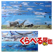 デスクマット(YDS-270KZクラベルズカン) くらべる図鑑柄