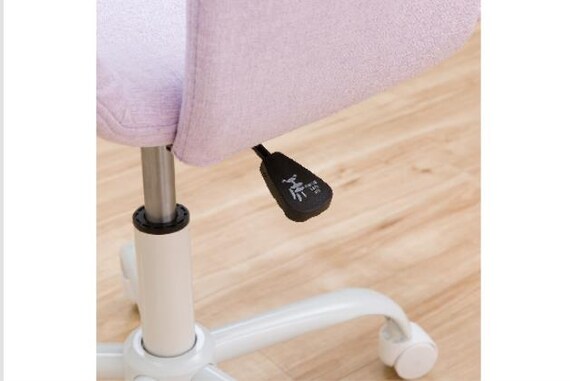 ｶﾞｸｼｭｳｲｽ FR23 PU ﾋｼﾞﾂｷ 12枚目画像