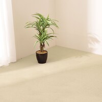 【4枚以上で販売】吸着タイルカーペット(ポニームジIV 40X40)