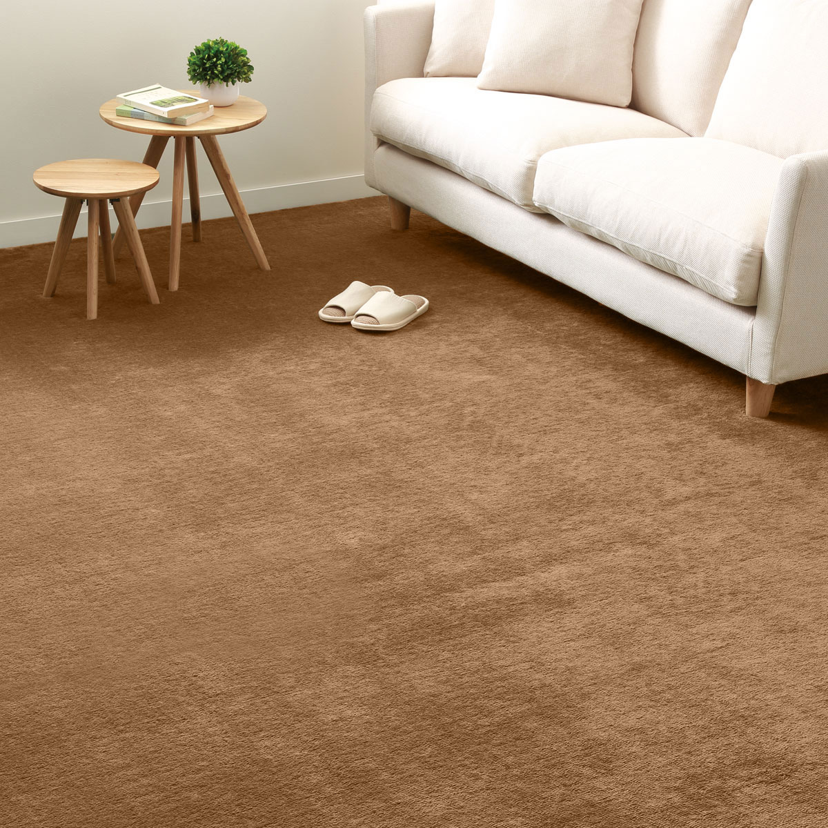 防ダニカーペット Nブラスカ 通販 ニトリネット 公式 家具 インテリア通販