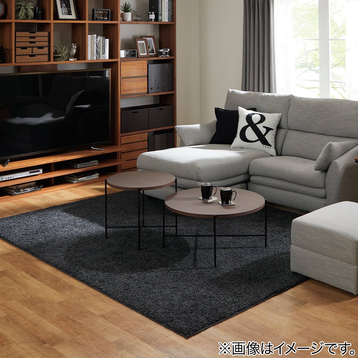 ダニよけ・抗菌防臭・防炎カーペット(エアープラスDGY 200X250