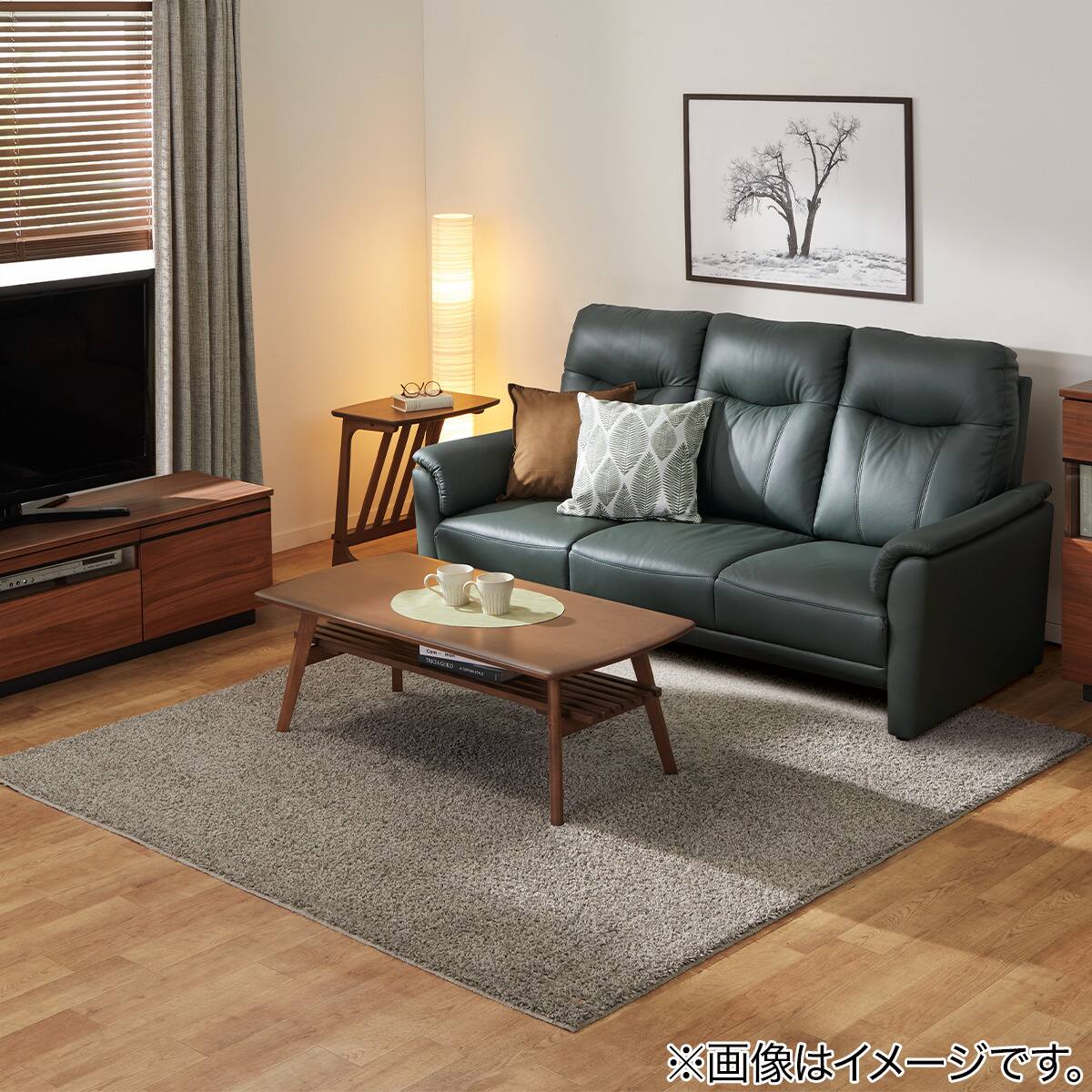 ダニよけ・抗菌防臭・防炎カーペット(エアープラスBE 100X140