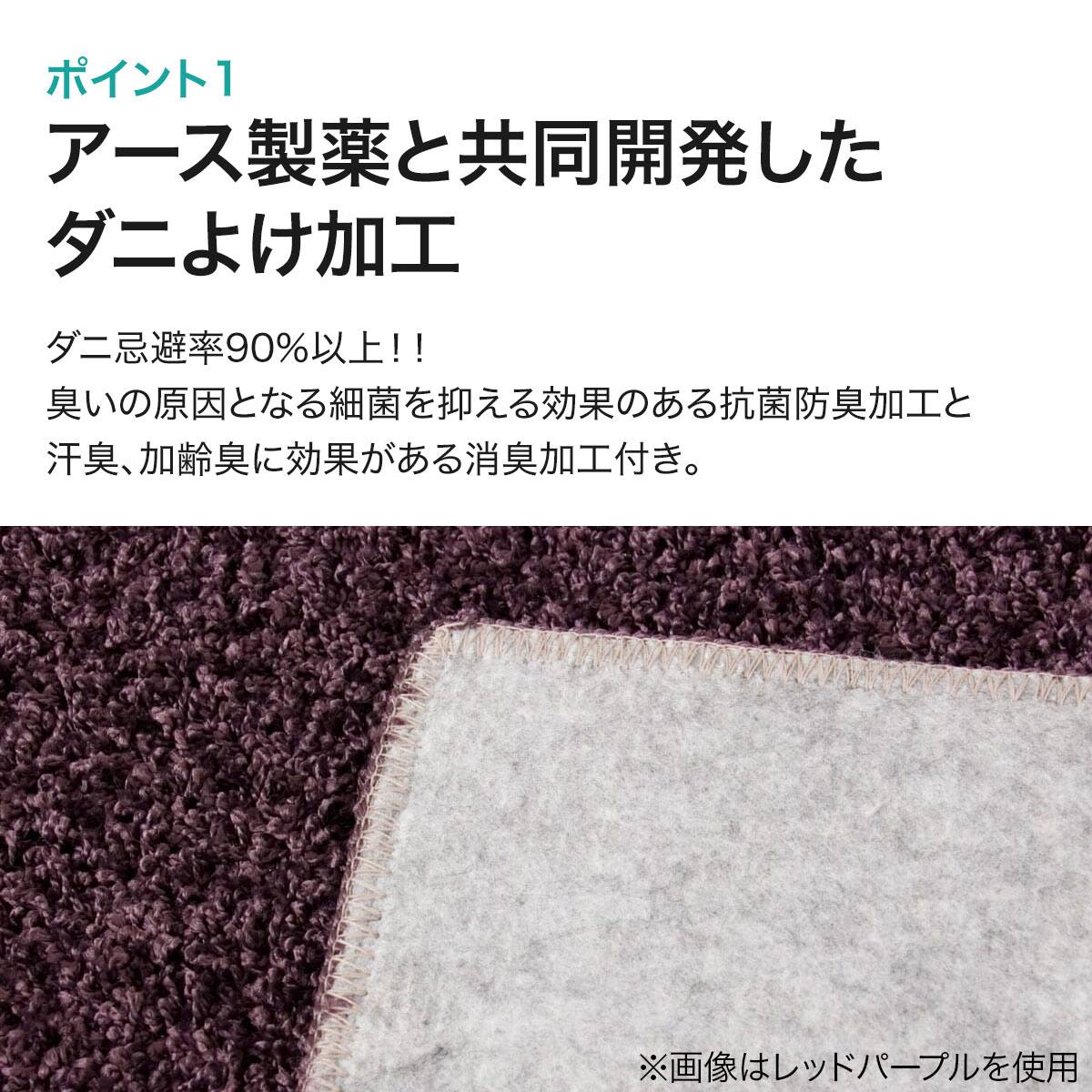 ダニよけ・抗菌防臭・防炎カーペット(エアープラスBE 200X200