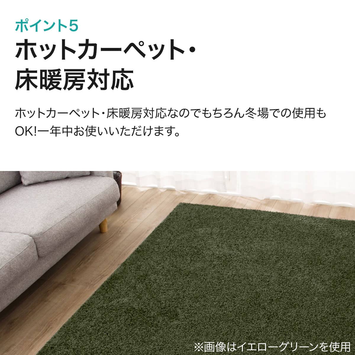 ダニよけ・抗菌防臭・防炎カーペット(エアープラスBE 100X140