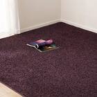 ダニよけ・抗菌防臭・防炎カーペット(エアープラスRPU 200X300) 1枚目画像