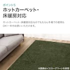 ダニよけ・抗菌防臭・防炎カーペット(エアープラスRPU 200X300) 19枚目画像