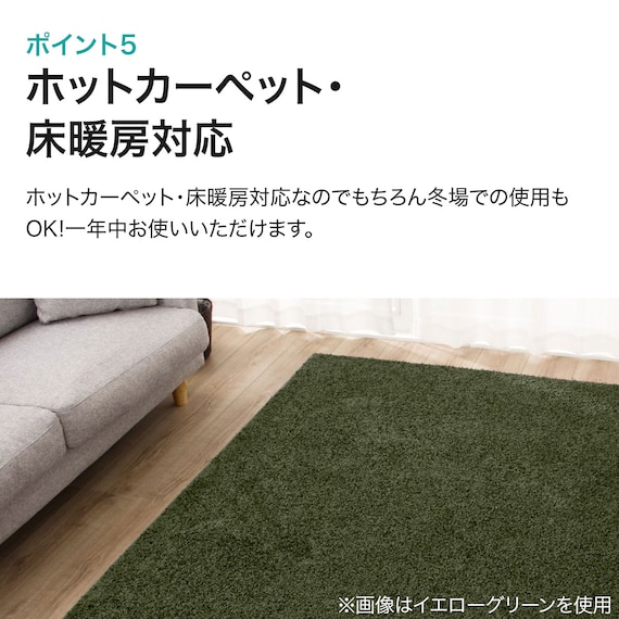 ダニよけ・抗菌防臭・防炎カーペット(エアープラスRPU 200X300) 19枚目画像