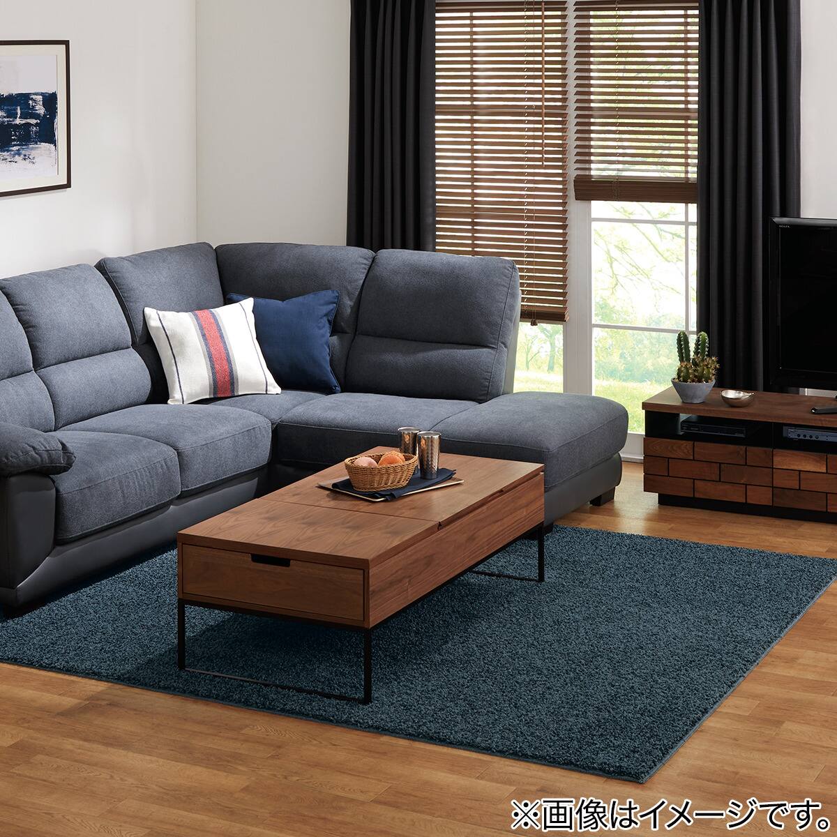 ダニよけ・抗菌防臭・防炎カーペット(エアープラスTBL 140X200