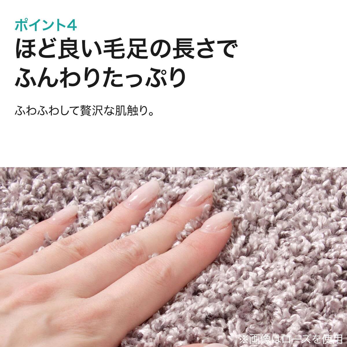 ダニよけ・抗菌防臭・防炎カーペット(エアープラスTBL 100X140