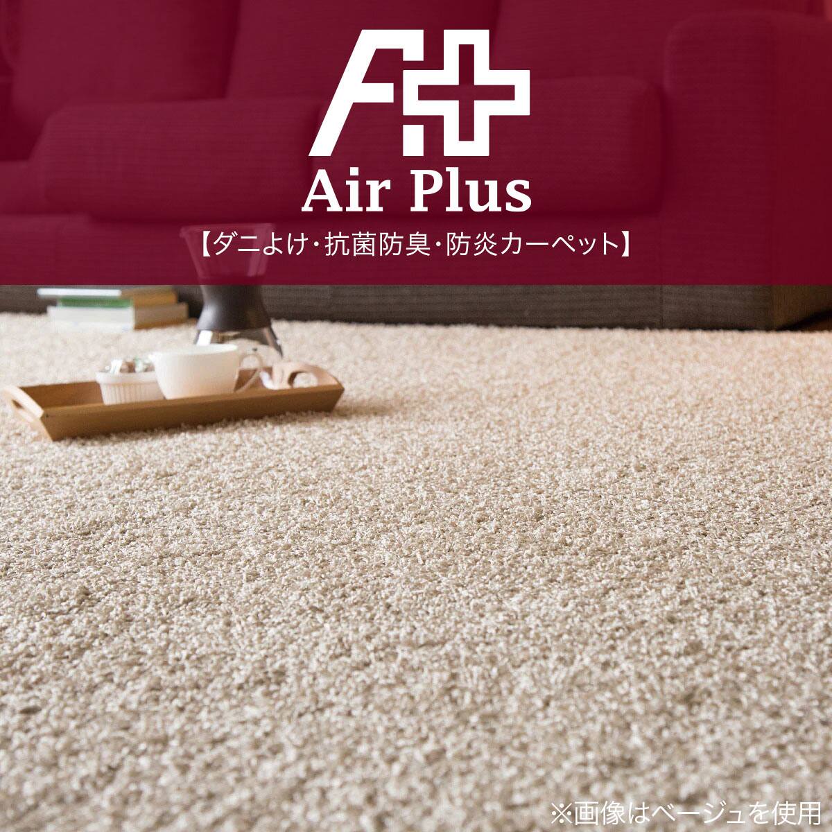 ダニよけ・抗菌防臭・防炎カーペット(エアープラスRO 100X140